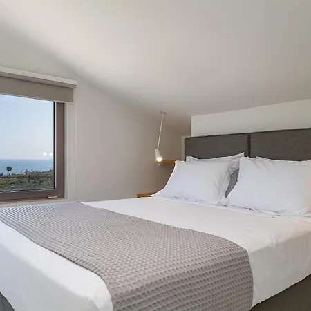 Villa Theo Luxury *